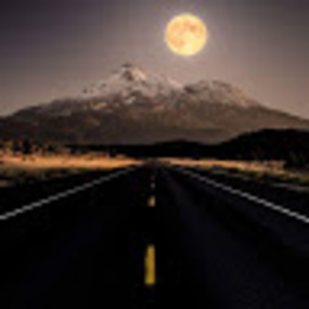 Meet your Posher, Stevie